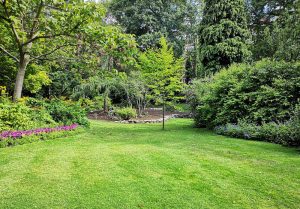 Optimiser l'expérience du jardin à Saint-Medard-la-Rochette