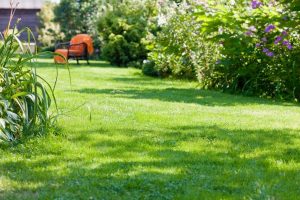 travaux jardin et paysage Saint-Medard-la-Rochette